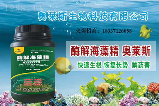 �󶹃r(ji��)��߀��(hu��)�ϝq�������մ󶹃r(ji��)������