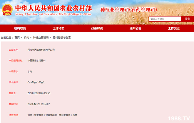 �ӱ���������Ƽ����޹�˾