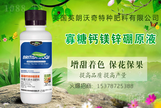 英朗沃奇成功簽約1988.TV，攜手共創(chuàng)新戰(zhàn)績！