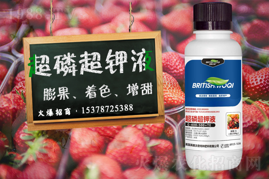 英朗沃奇成功簽約1988.TV，攜手共創(chuàng)新戰(zhàn)績！