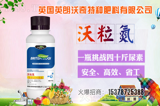 英朗沃奇成功簽約1988.TV，攜手共創(chuàng)新戰(zhàn)績！