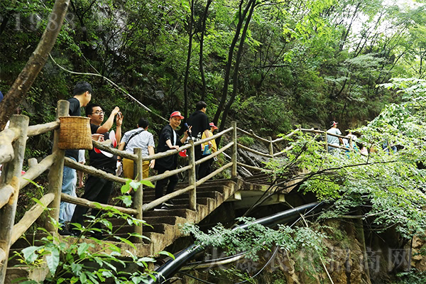 尋夢老君山,品道家文化