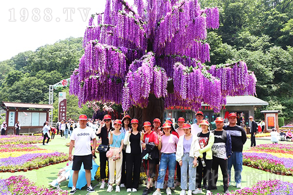 跟著火爆網(wǎng)游老君山,放松心情,傳承國學(xué)經(jīng)典