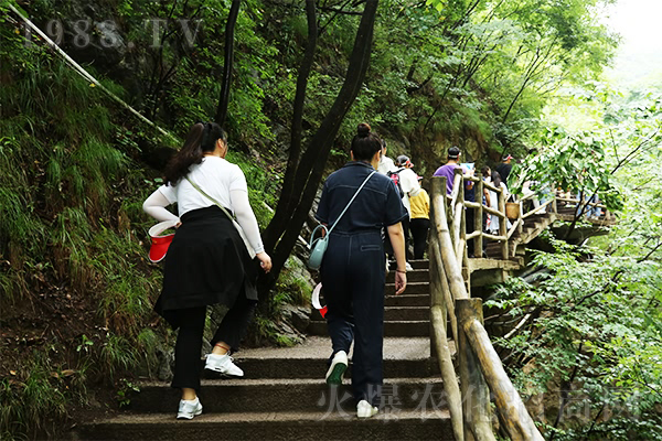 靜心之旅