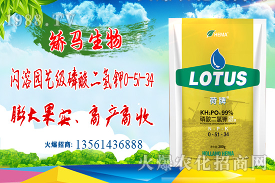 鉀肥價格堅挺，近期鉀肥價格行情走勢（6月22日）