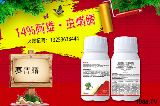 ِ��¶����𱬁�(l��i)�u���ٺ����r(n��ng)�����̾W(w��ng)�_��(chu��ng)���x�ͣ�