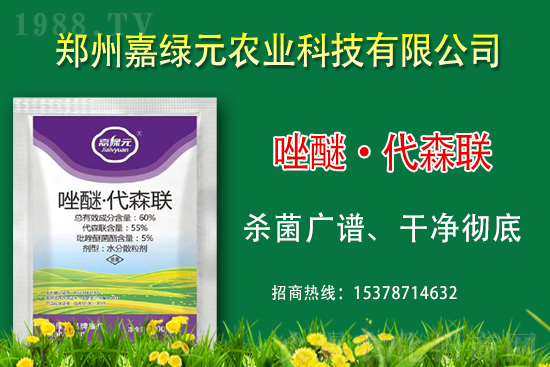 �������������ξGԪ�r(n��ng)�I(y��)�ٺ�1988.TV������(chu��ng)���x�ͣ�