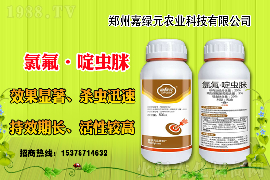 �������������ξGԪ�r(n��ng)�I(y��)�ٺ�1988.TV������(chu��ng)���x�ͣ�