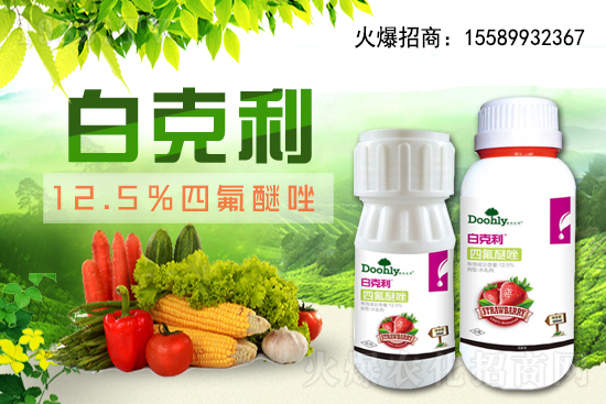 ���|���m(x��)�s1988.TV����(zh��n)�Ժ����P(gu��n)ϵ�������_�A��