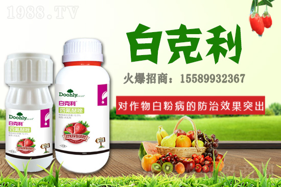 ���|���m(x��)�s1988.TV����(zh��n)�Ժ����P(gu��n)ϵ�������_�A��