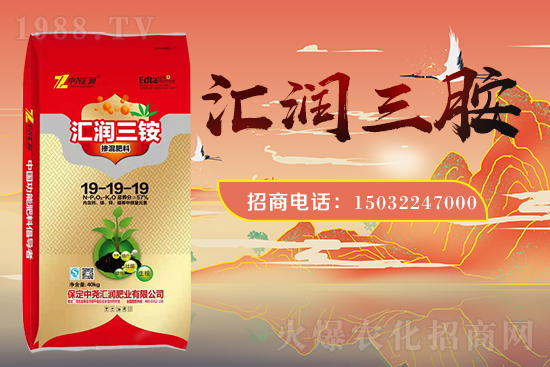 �r(n��ng)���W(w��ng)ϲӭ�����ѣ��Ј�R�����s1988.TV�y�ִ����������E��