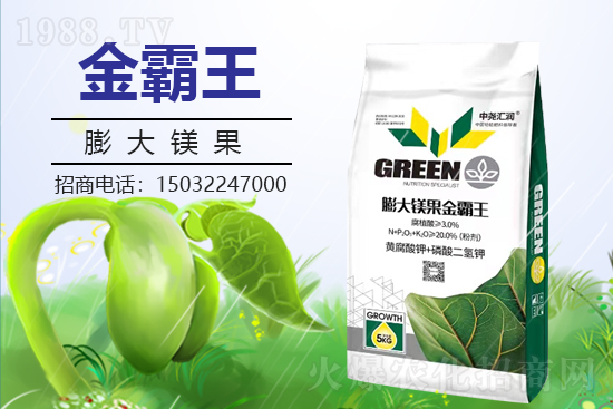 �r(n��ng)���W(w��ng)ϲӭ���������Ј�R�����s1988.TV�y�ִ����������E��