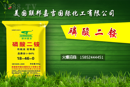 二銨價格堅挺!7月24日國內二銨價格行情