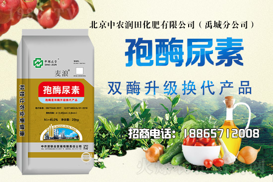 災后花生田及時排水散墑，科學管理做好病蟲害防治