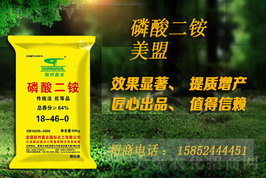 ���@�F(xi��n)؛�����o����2021��7��29�Շ������@�r������