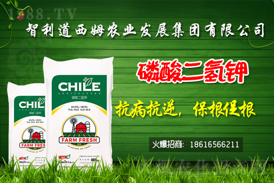 ��������ķ�ٺ�1988.TV���_���W(w��ng)�j(lu��)������ģʽ��