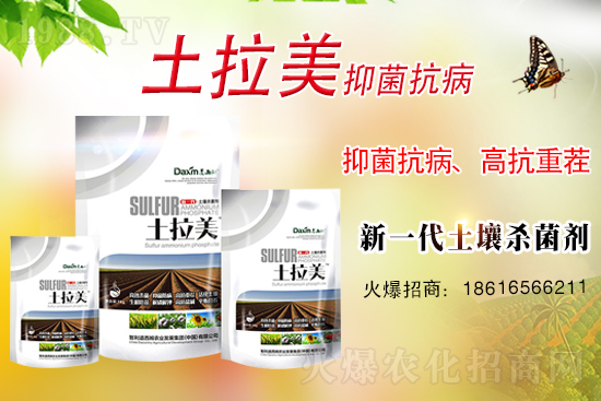 ��������ķ�ٺ�1988.TV���_���W(w��ng)�j(lu��)������ģʽ��