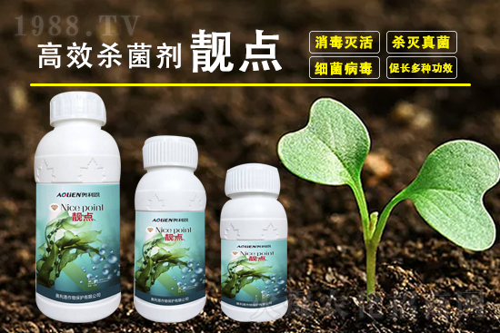  2021��8��17�ն࿹ù�ؚ������r������