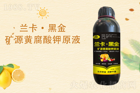 柑橘黃葉是什么原因造成的？柑橘黃葉的解決措施