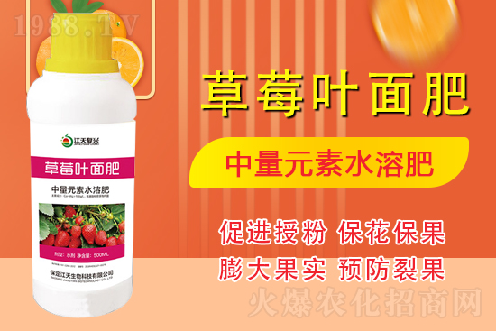 合作發(fā)展，共創(chuàng)未來，江天生物簽約1988.TV，共創(chuàng)新輝煌！