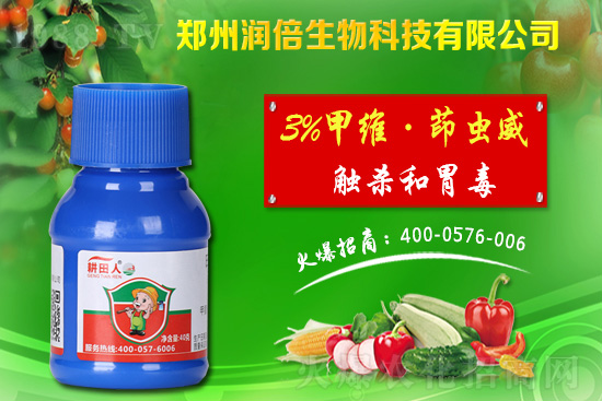 危害盛期的桃蚜如何防治?桃樹蚜蟲的危害與防治!