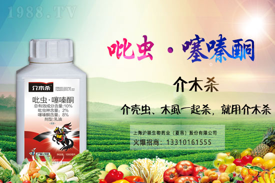 大豆食心蟲(chóng)