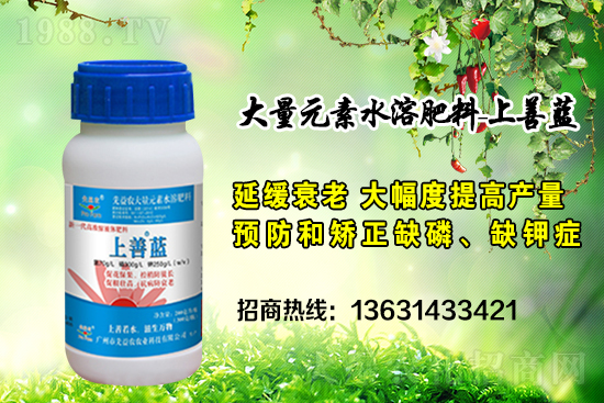 廣州市先益農(nóng)再度攜手1988.TV，攜手共創(chuàng)新戰(zhàn)績！