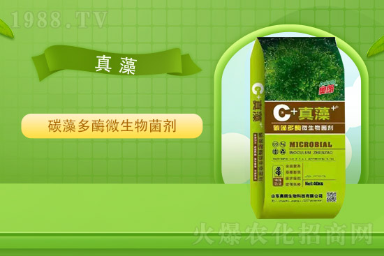 氯化鉀價格平穩(wěn)，2021年9月2日國內(nèi)鉀肥價格走勢