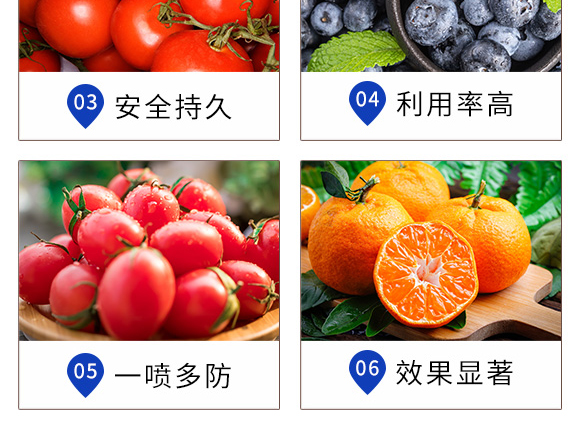 ɷ�t�������-Ξ���x_05