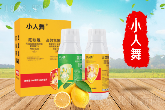 新年快樂