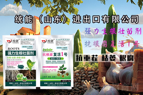 【山東統(tǒng)能】祝一路走來的朋友們虎年大吉,福運(yùn)無疆!