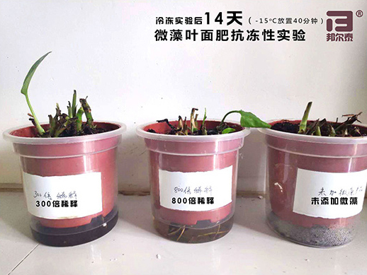 新年快樂(lè)