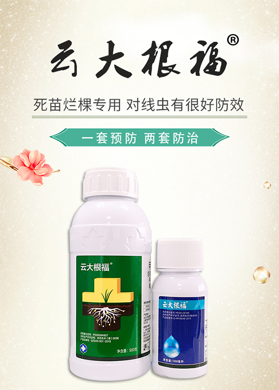 【加號農(nóng)業(yè)】祝您新年快樂!身體健康,萬事如意!事業(yè)有成!