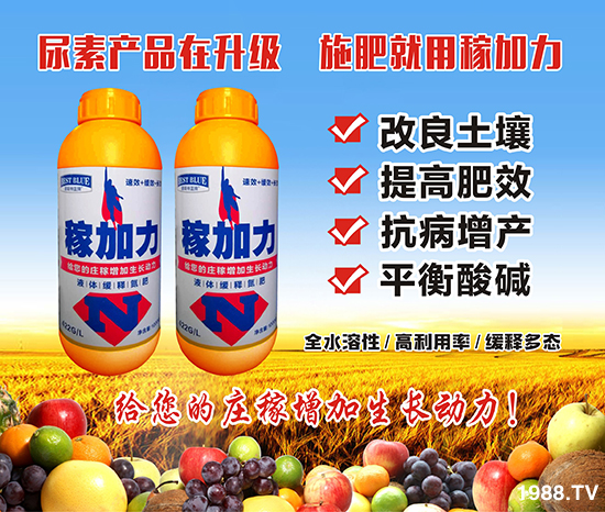 【碧斯特】祝朋友們新年快樂(lè)!萬(wàn)事如意!芝麻開(kāi)花節(jié)節(jié)高!