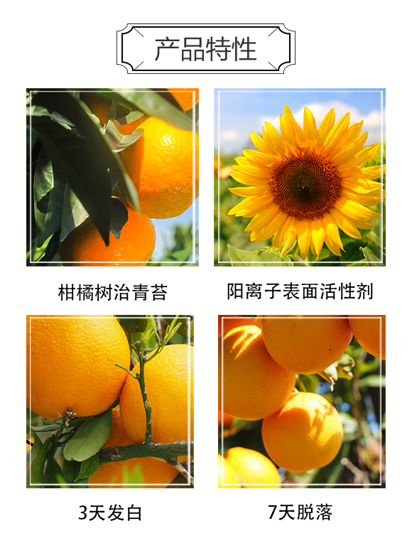 _(ki)WƼ޹˾1_03
