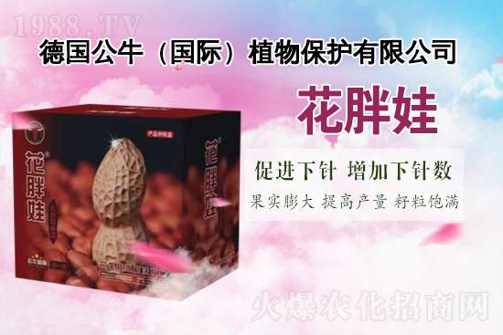   ����(gu��)������ף������µ�һ�����Ҹ����M���H�Қg��(l��)��