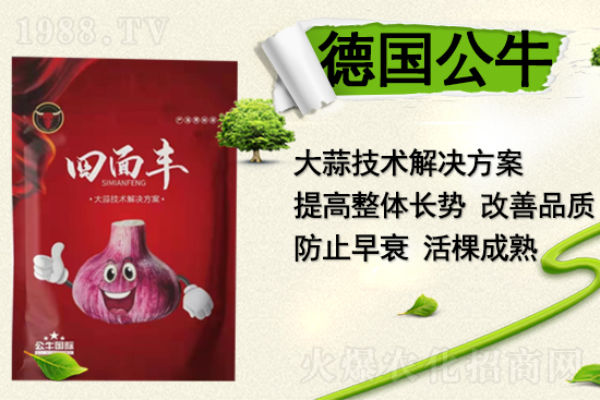   ����(gu��)������ף������µ�һ�����Ҹ����M���H�Қg��(l��)��