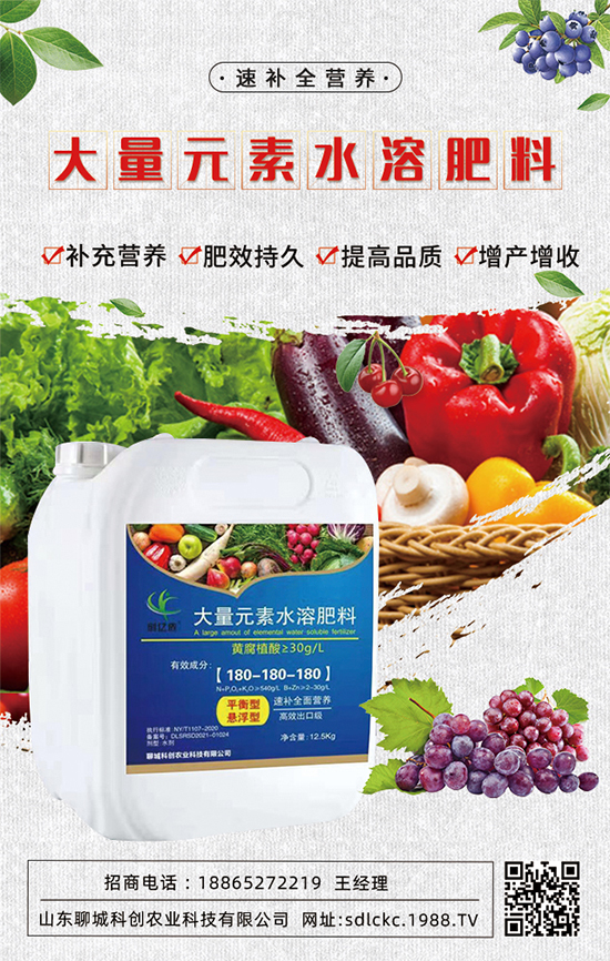 ɽ�|�ĳǿƄ�(chu��ng)�ٺ�1988.TV�����\�������p�A��