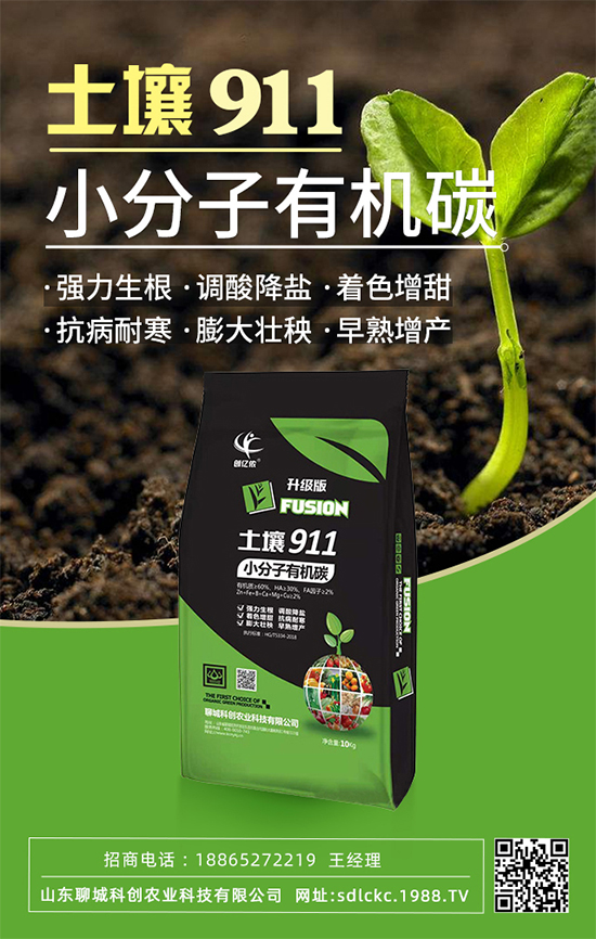 ɽ�|�ĳǿƄ�(chu��ng)�ٺ�1988.TV�����\�������p�A��