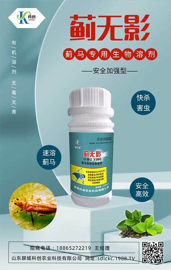 ɽ�|�ĳǿƄ�(chu��ng)�ٺ�1988.TV�����\�������p�A��