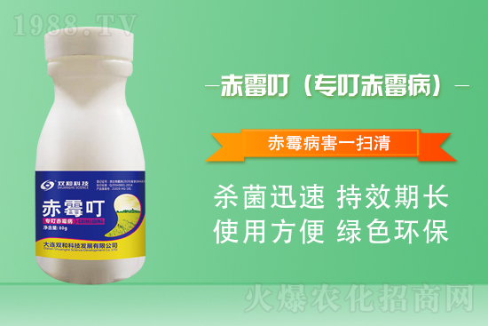 ���������������B�p�ͿƼ��ٺ�1988.TV������(chu��ng)���x����