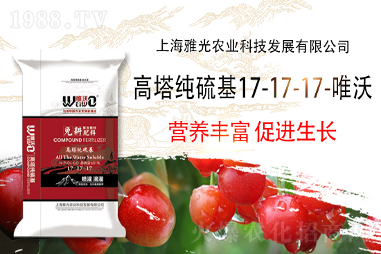 2022-2-11國內(nèi)復合肥價格行情走勢