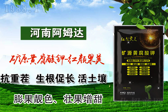 2022.3.10國內(nèi)鉀肥價(jià)格快訊