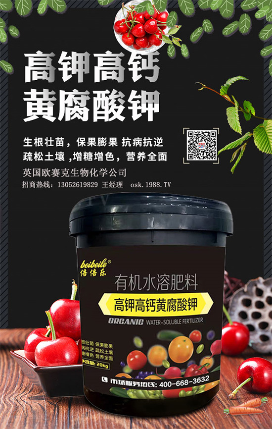 一袋黃腐酸鉀=生根＋土壤改良＋有機(jī)肥！黃腐酸鉀為何如此神奇？