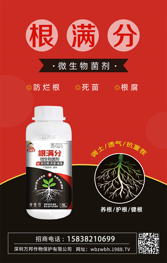 作物死苗爛根多，發(fā)育不良怎么辦！如何拯救作物根系？