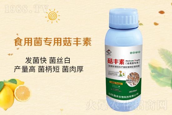 ƽ������Ҫ�c����Ҫע����Щ�����