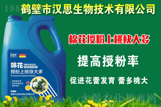 棉花種植怎么管理？棉花各生長期管理要點(diǎn)