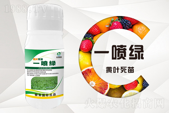 大棚蔬菜育苗為什么容易死苗？怎么解決？