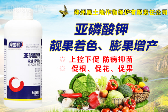 2022.37國內(nèi)磷銨價格行情快訊