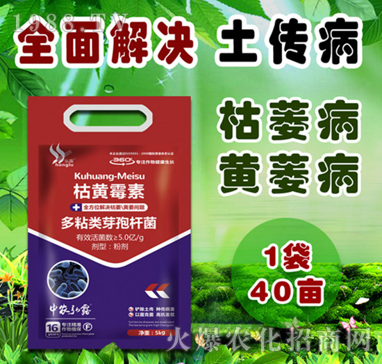     細(xì)菌性病害有哪些？防治藥劑怎么選？一篇文章說明白